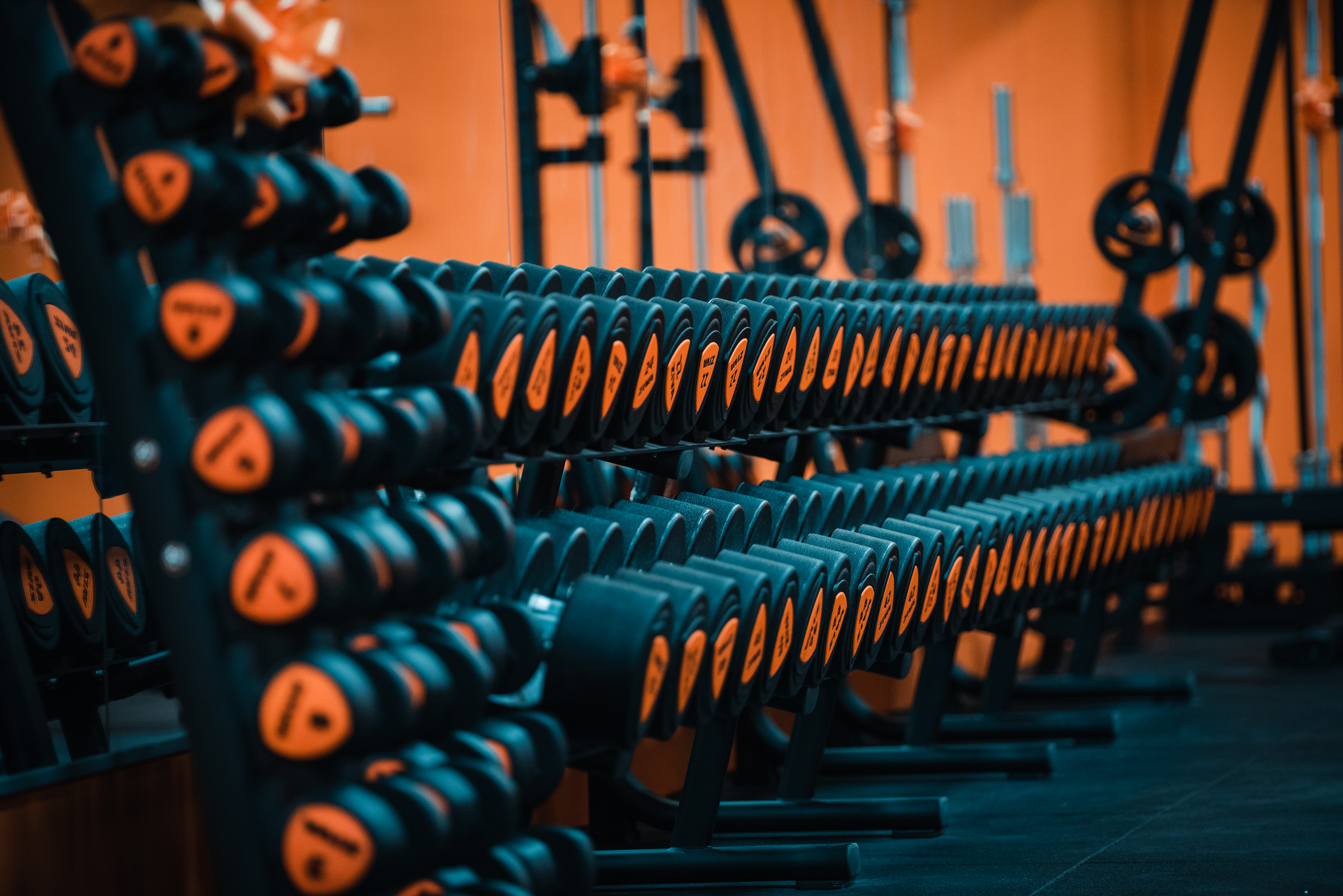 FitActive Forlì